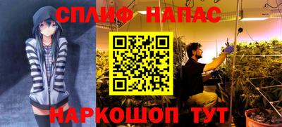 прущие крисы Партизанск