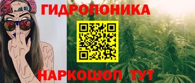 прущие крисы Партизанск