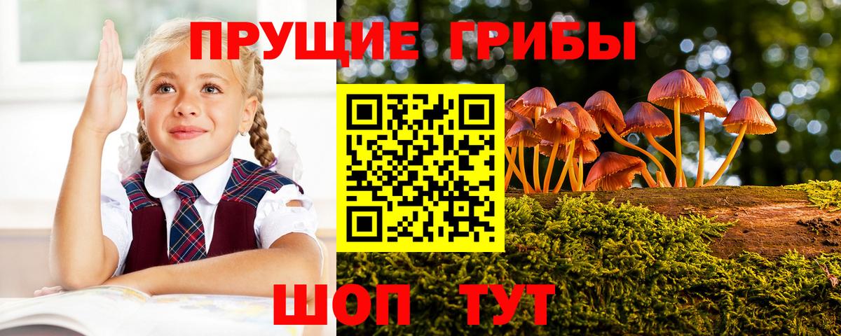 Санкт-Петербург  Галлюциногенные грибы MAGIC MUSHROOMS  Вход с VPN 