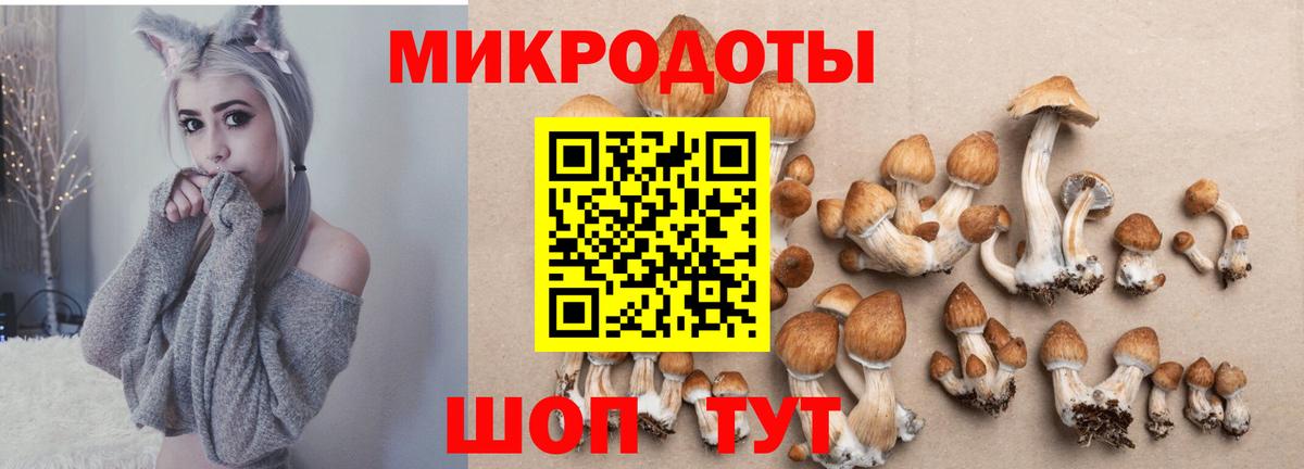 Псилоцибиновые грибы мухоморы Санкт-Петербург